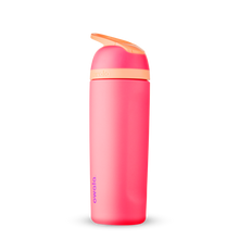 19oz Hyper Flamingo Stainless Steel Insulated Owala Flip Water Bottle
